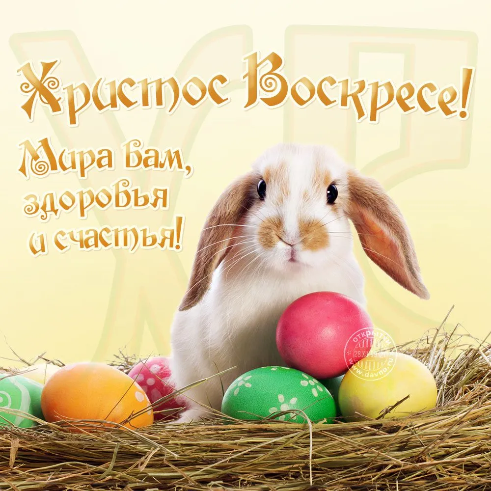 IMG-24b505a05d86044534eb290137a9afd4-V.webp