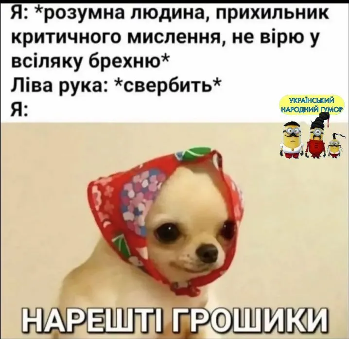 IMG-24e79dc04b2a1eaab4640ae0a74b9612-V.webp
