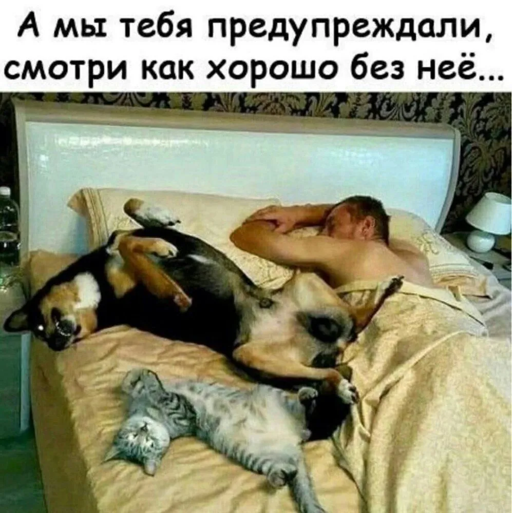 IMG-25546136fc5eb06a50d205f02a54a3d7-V.webp