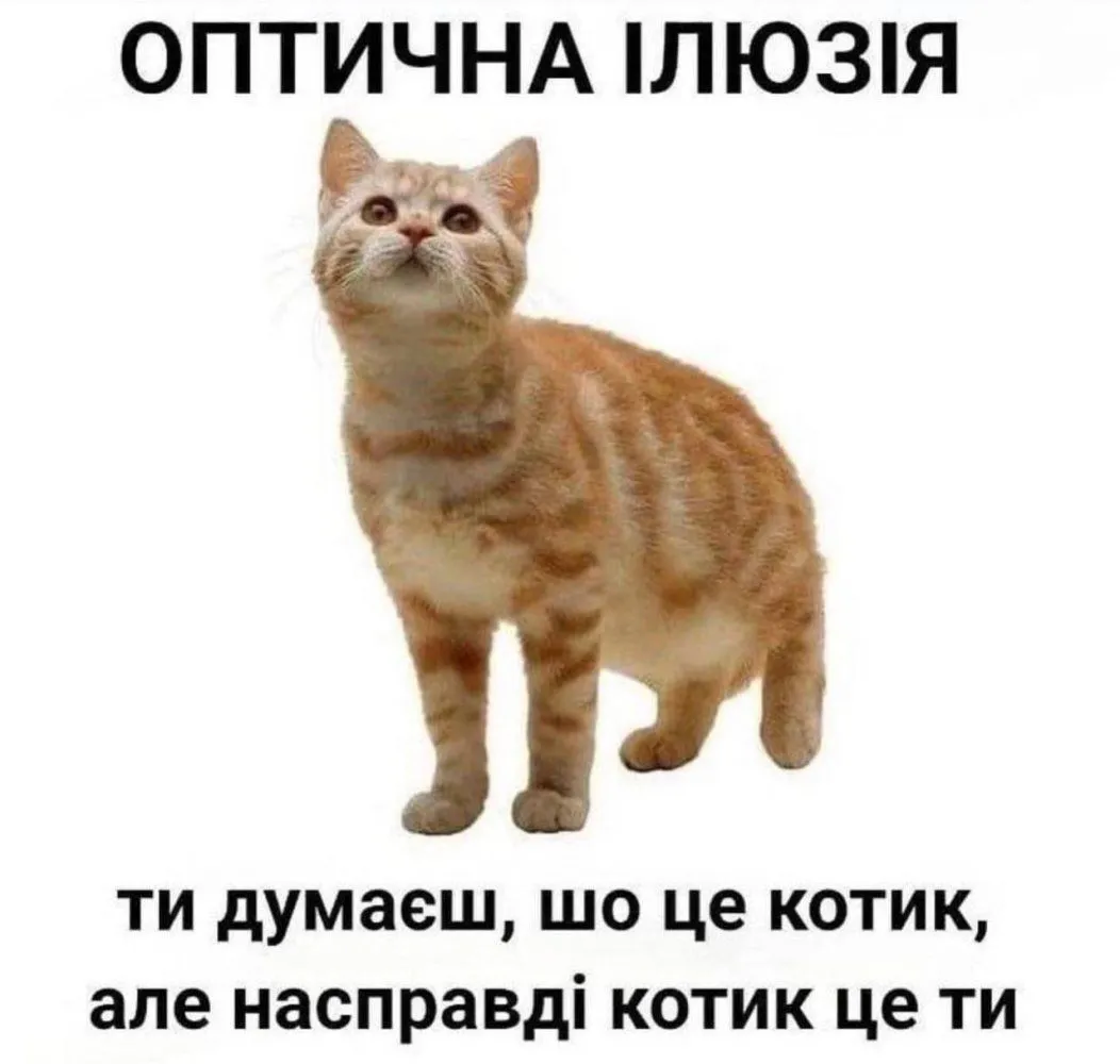 IMG-25ed05ce959ae38026cd536ed019325c-V.webp