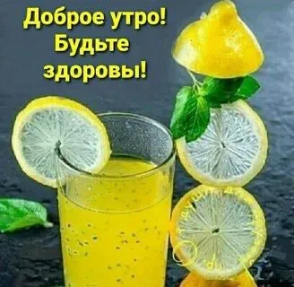 IMG-27643a621f470351e18486cf84f693c4-V.webp