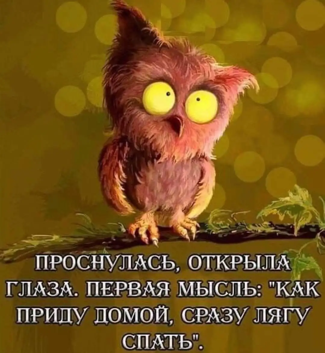 IMG-27f831f93fdf61920eca3f777c8f9562-V.webp