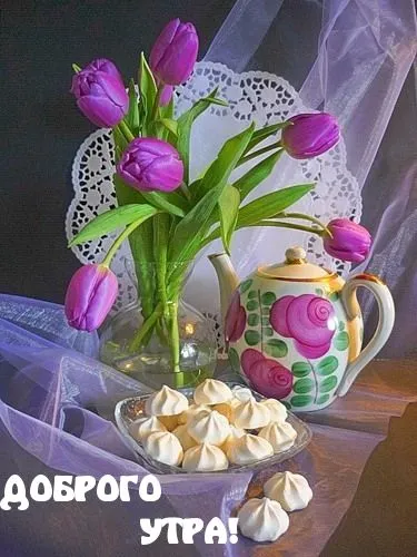 IMG-2863d4f04868dbcaf4a80906846f4ab2-V.webp