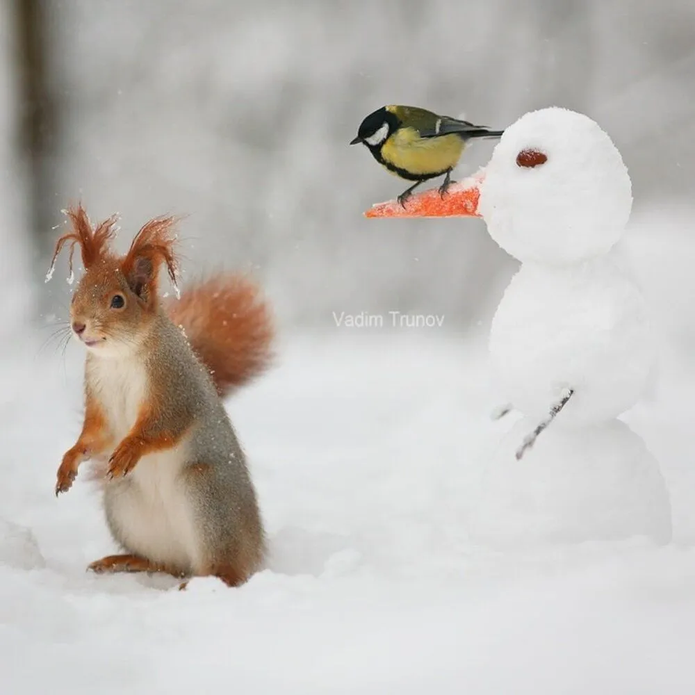 IMG-28f042435da4b7ac74695403912b3936-V.webp