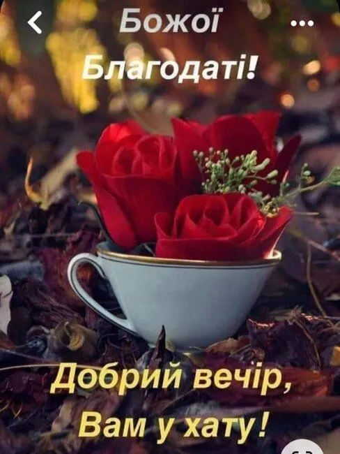 IMG-2975117dac00792bf6f3c29ee9fa3711-V.webp