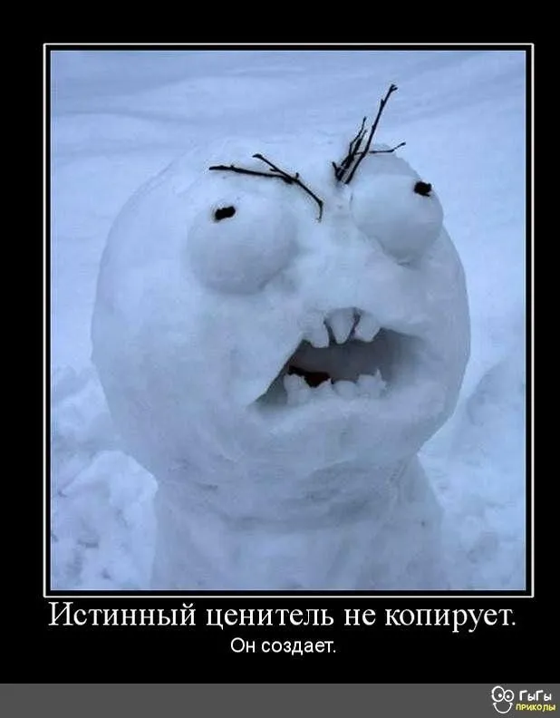IMG-2a4893221dbfa50b55a86f5ef4242e40-V.webp