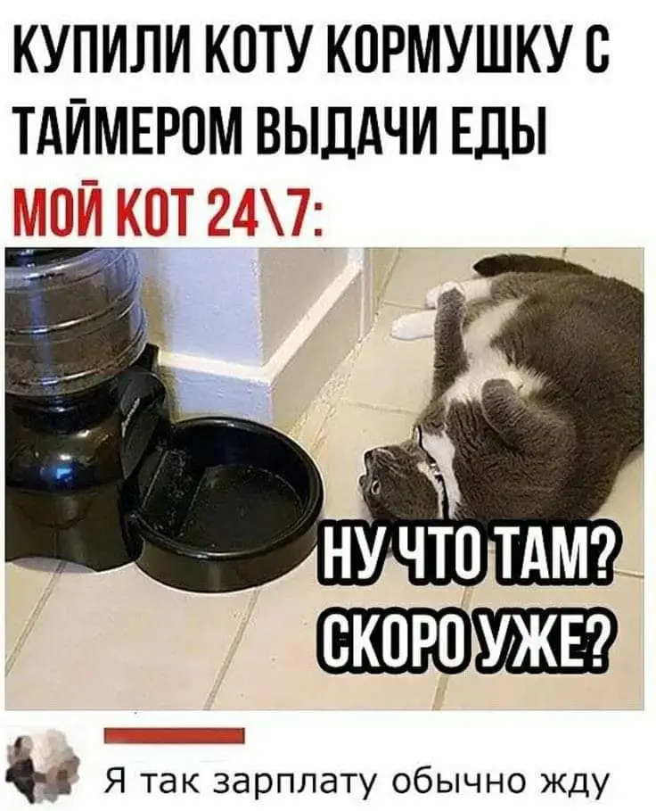 IMG-2b3bb2cbf92abc098a236dd00b0c4d08-V.webp