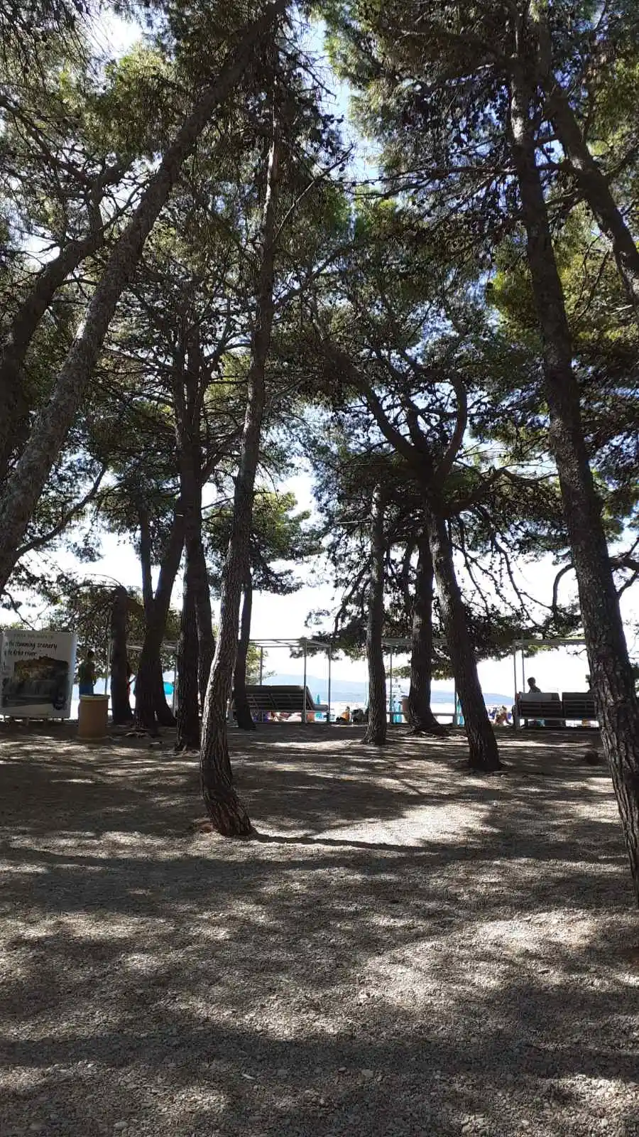 IMG-2b425edea03881e57750ac45d436d937-V.webp