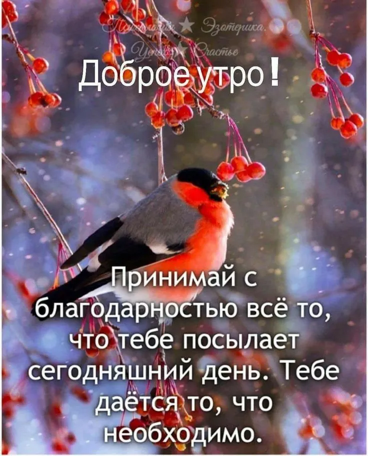 IMG-2be0ec0e1a9f3faf9750de14619b6978-V.webp
