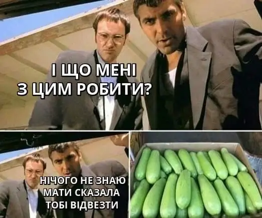 IMG-2c0766e3a7a8701f7d8b822b66b72dc7-V.webp