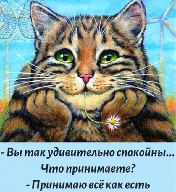 IMG-2c44b73d3f08c608277e8e567c87b50b-V.webp