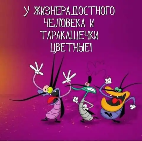 IMG-2c65c343b681561a29095406c1252966-V.webp