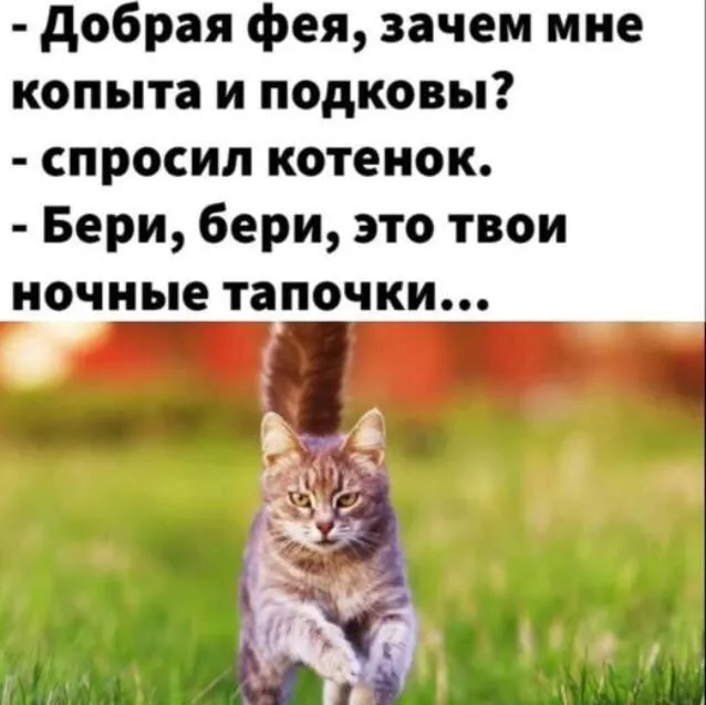IMG-2e38a24b89fbadef1b40a8ad10a22c86-V.webp