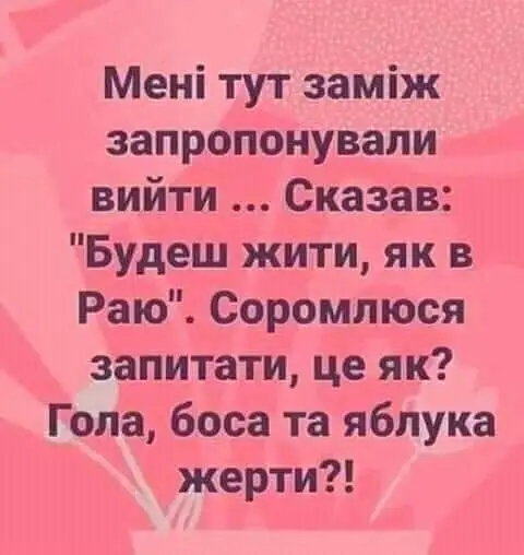 IMG-2e7e9acb4225be059644e1abb941f09c-V.webp
