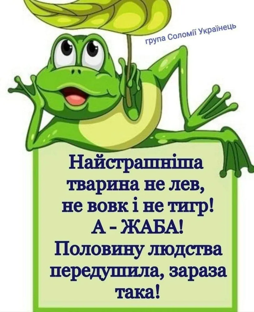 IMG-2f5c45362d6669fd23f4ec559090f301-V.webp