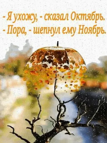 IMG-305be74774e4e7bc76ad6bc5518783cb-V.webp