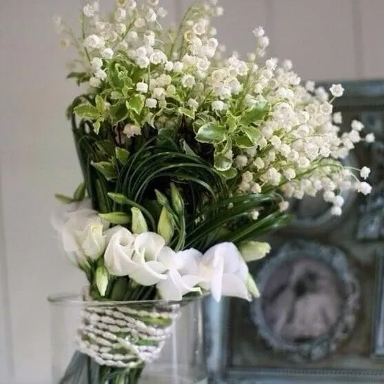 IMG-31811c69eb4a275dc89a8ce9624785e7-V.webp