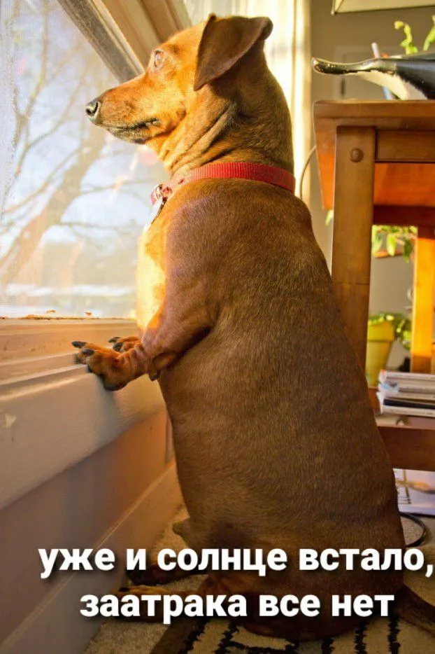 IMG-318b0d7a6dbe3f389323f3fca12ab5db-V.webp
