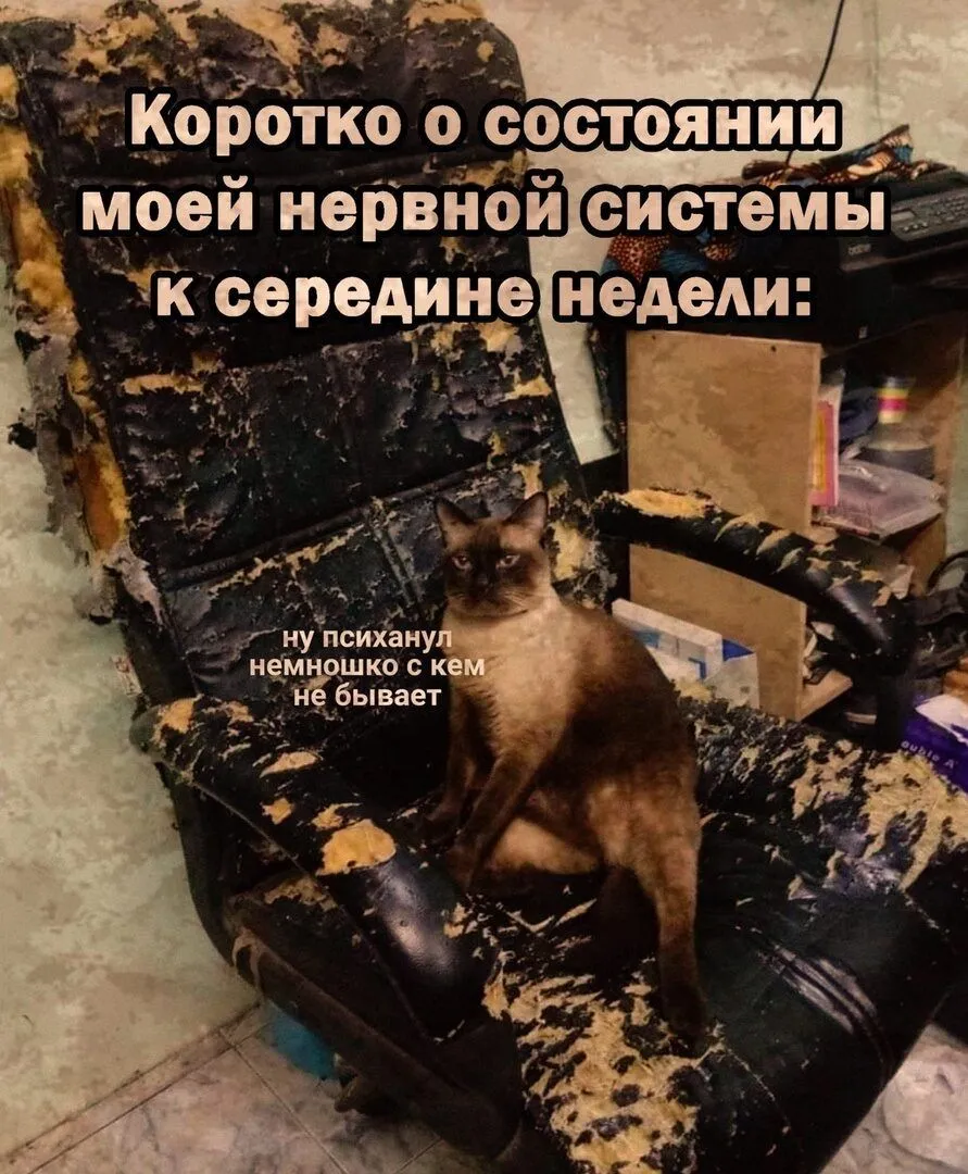 IMG-31c422f4a5de57ac3430fb686a9a1226-V.webp