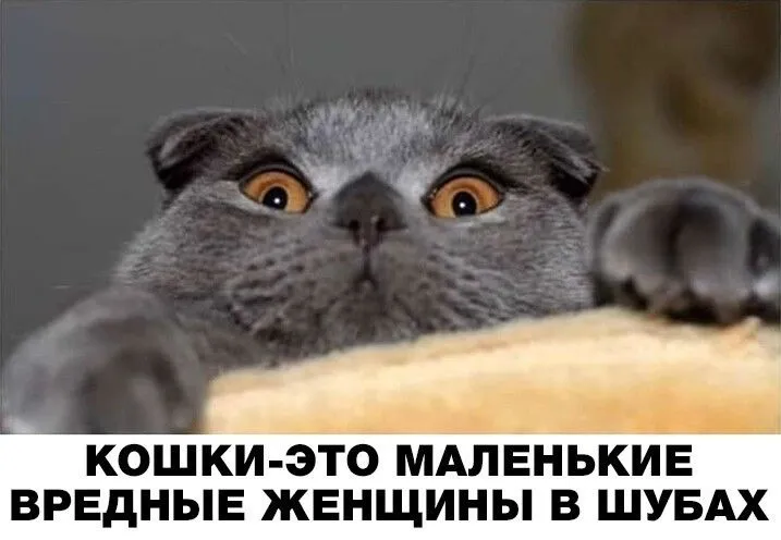 IMG-31ceae6c6ba97647b3254629c5eadc2e-V.webp
