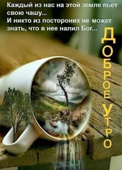 IMG-32217906bd5928e36fcd28519be2ab26-V.webp