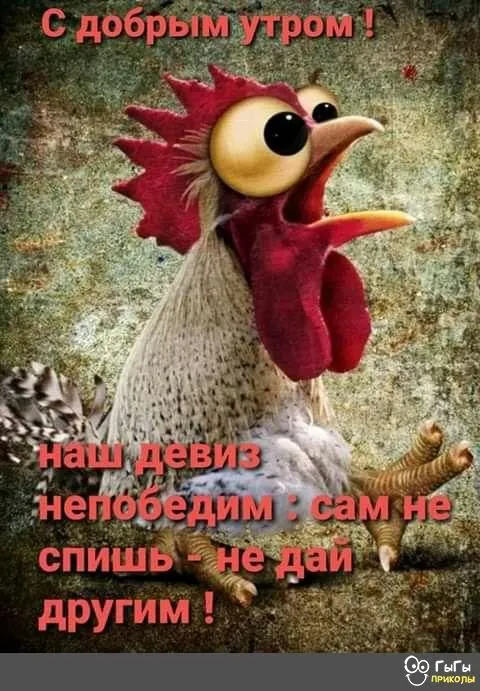 IMG-324ca8ffd92b79b66598b25ebc97882e-V.webp