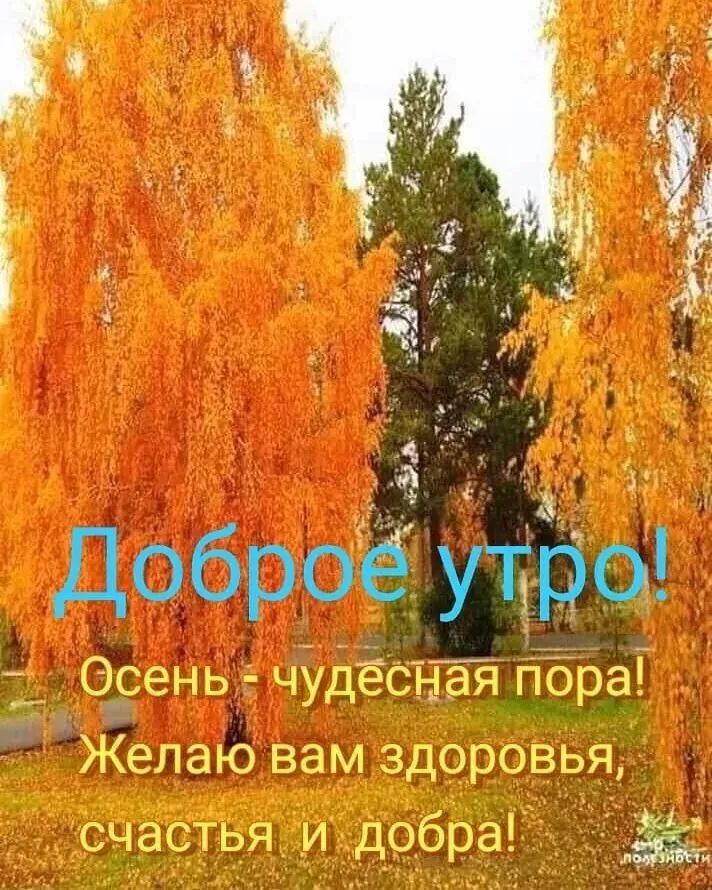 IMG-328cacda81e06ea01e9cdd653a09d455-V.webp