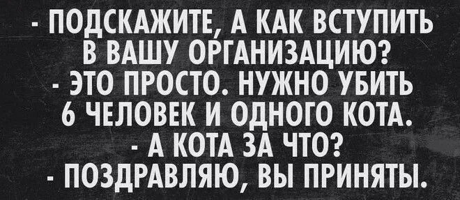 IMG-334f1f00e01c23554591253aa49455e4-V.webp