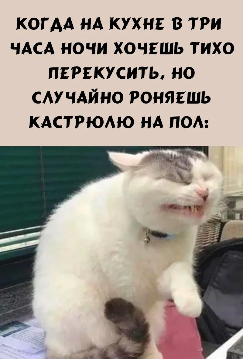 IMG-34acf3315eea57ac420e7ab5d74ff409-V.webp