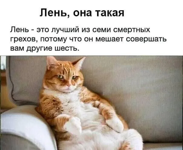 IMG-34bcb95671e105f3d5a7655af462030c-V.webp