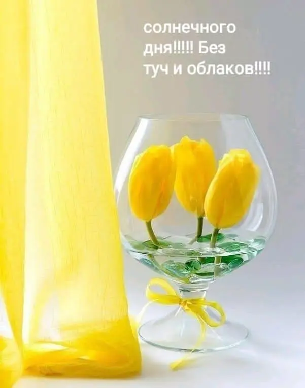 IMG-354420828ee3241b8532a97380d0136a-V.webp