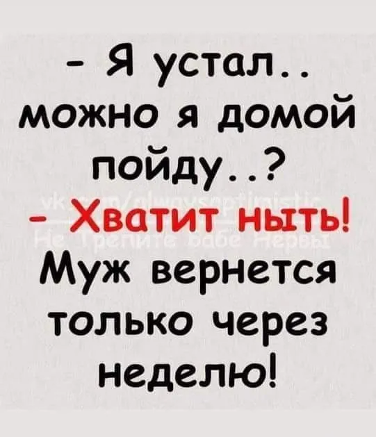 IMG-35617909562ba5744a593437cb6b6f11-V.webp