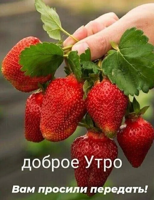 IMG-3704001dc4a8bf733ef38fa0309f4fd4-V.webp