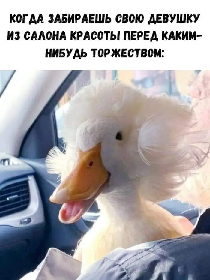 IMG-37c664bbaa161abea16beb0dfd7ea2db-V.webp