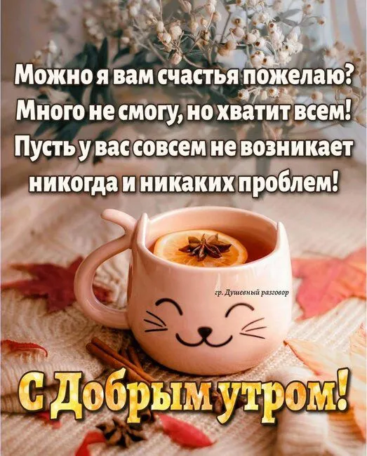 IMG-39024df70b89d35a8f2078ccffe2c4a4-V.webp