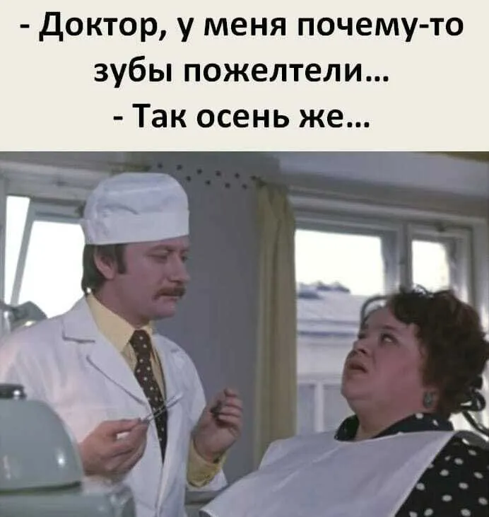 IMG-3979e777096d58b24aa408c8f4d9ec46-V.webp
