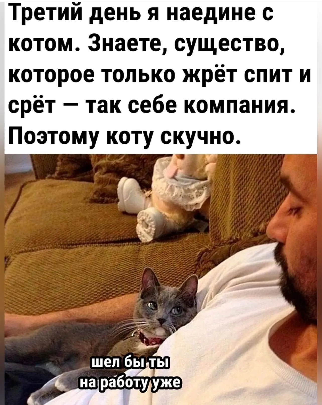 IMG-39eea660f92378d774edf81fda0d8f82-V.webp