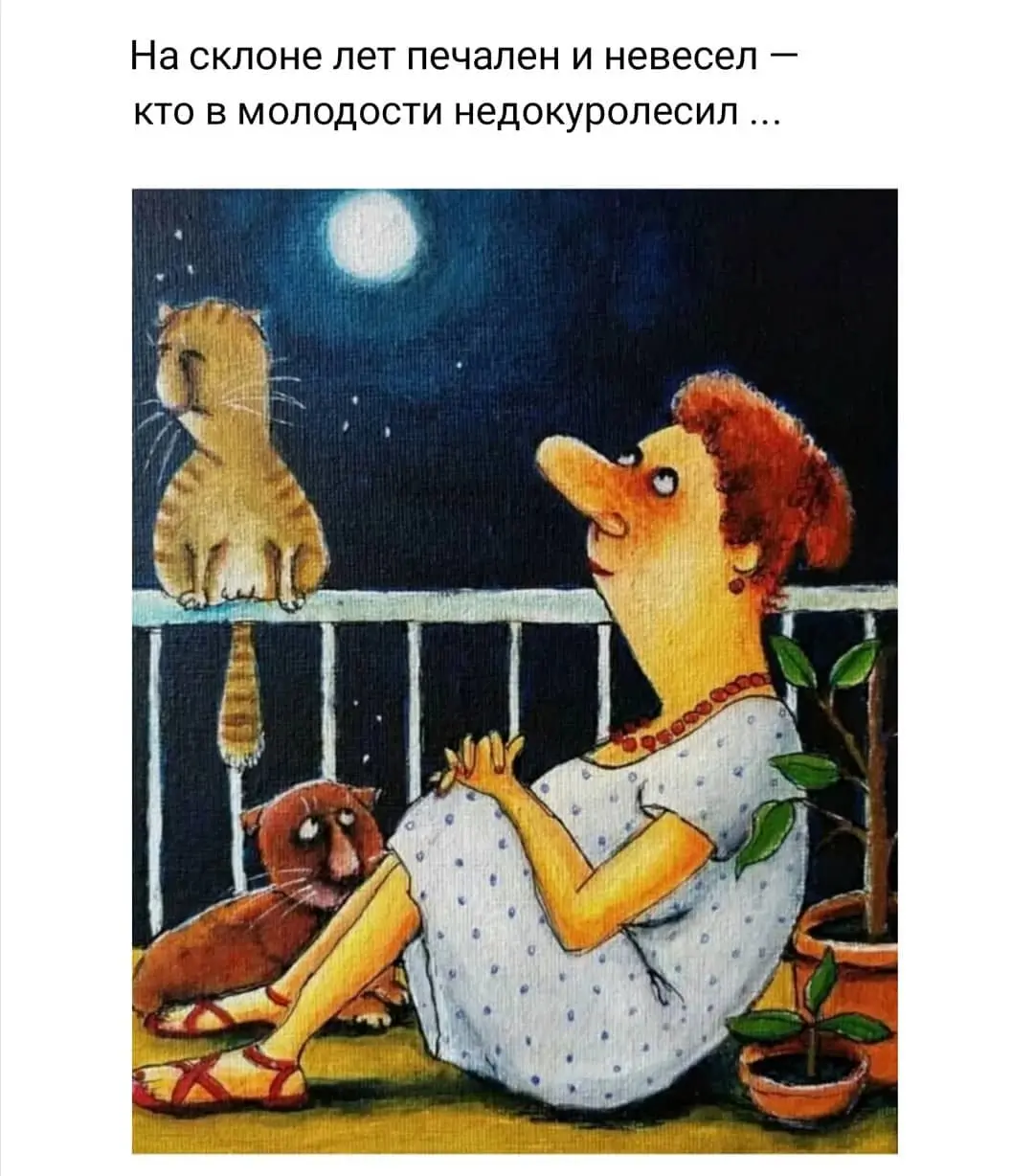 IMG-3a948aacb4b6581a9b1ad5d36bf9b10e-V.webp