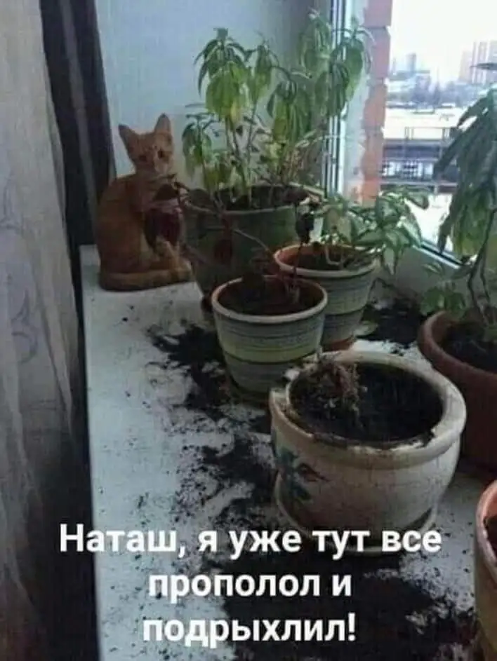 IMG-3adaf95df10b84f6b208f0b8697f8657-V.webp