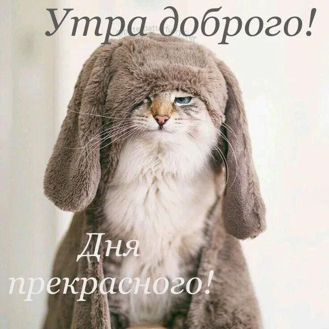 IMG-3b6364ec42d540d17ec42504df6aeed3-V.webp