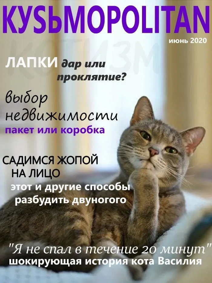IMG-3c05f443283a29023ba46d3d025040a0-V.jpg