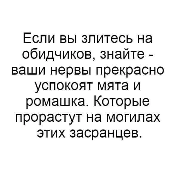 IMG-3c611202663f2d816e75530930a032d9-V.webp
