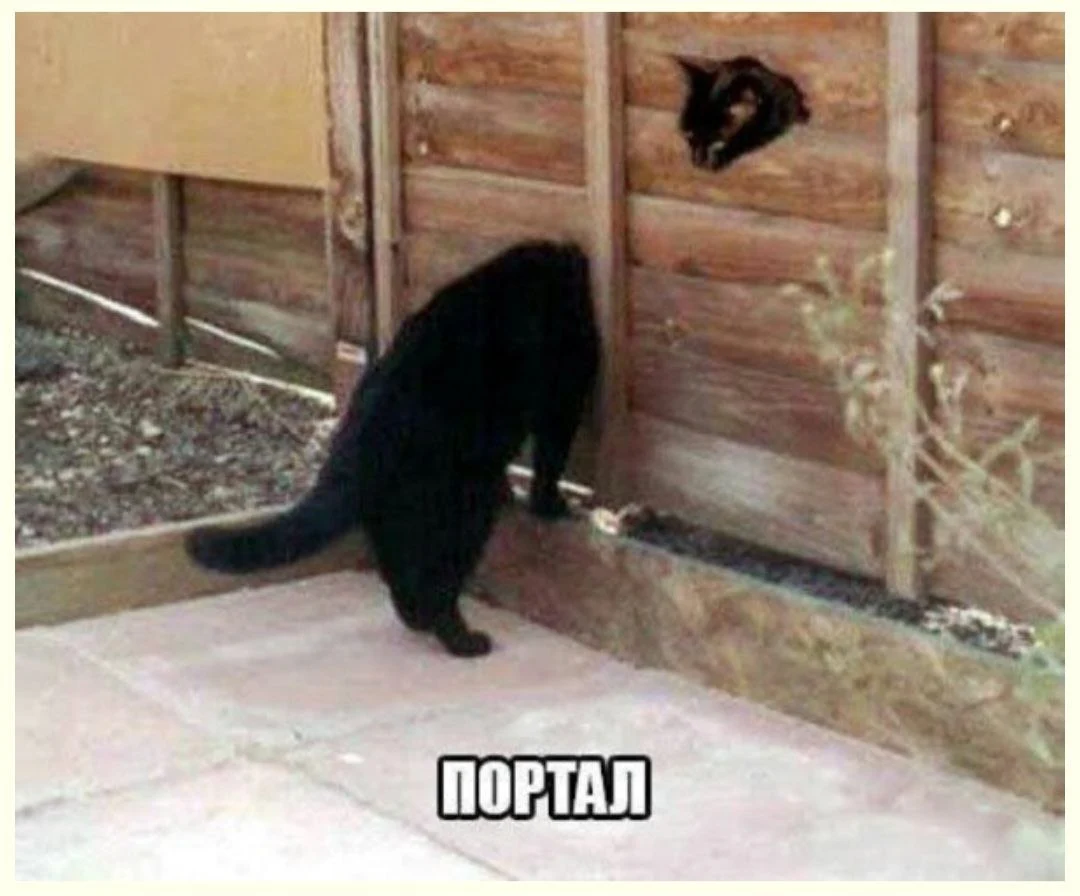 IMG-3c647af854f5f594ca3877a25be521d8-V.webp