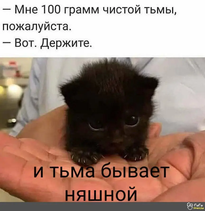 IMG-3ce5a698d73d4fbe1cc3514686c42cb7-V.webp