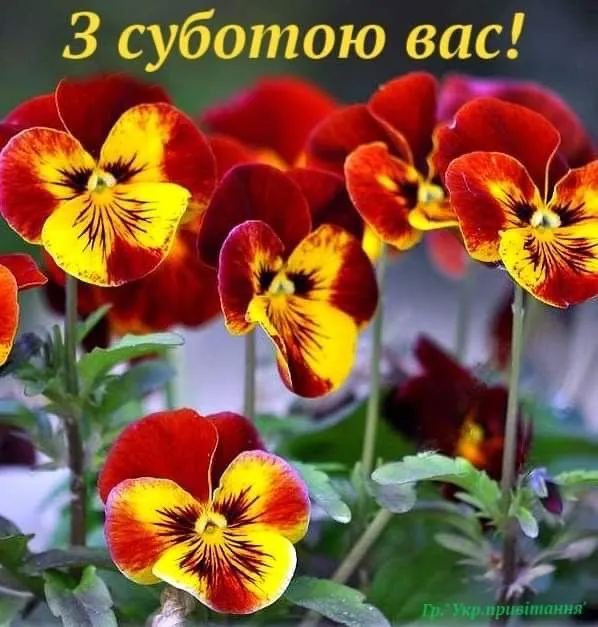 IMG-3cf537792d4d831cc78c4854132734b4-V.webp