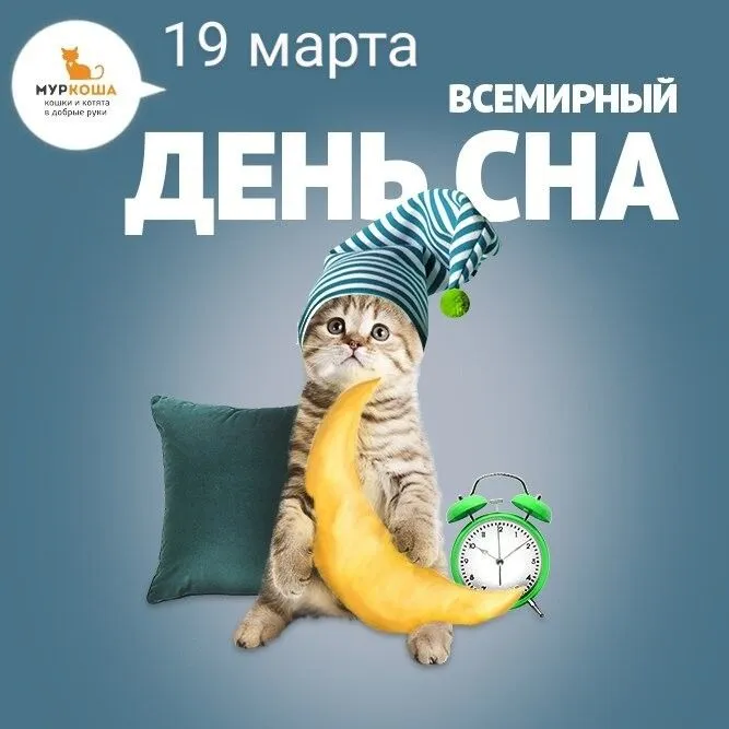 IMG-3d6138ba497a5dd412c734f36ccaeb44-V.webp