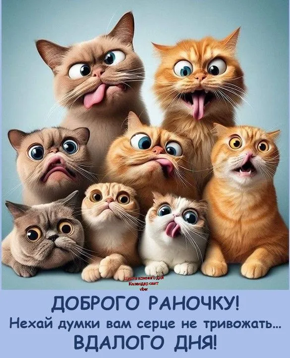 IMG-3e3d892f008b4a691ddae6c9ab3023f1-V.webp