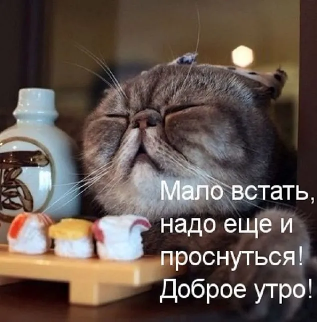 IMG-3e442cf8fd13579f9441d63fb42b22d7-V.webp