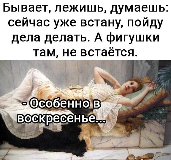 IMG-3e9e2ecf946bf9d16a0d48ccda49ebc1-V.webp