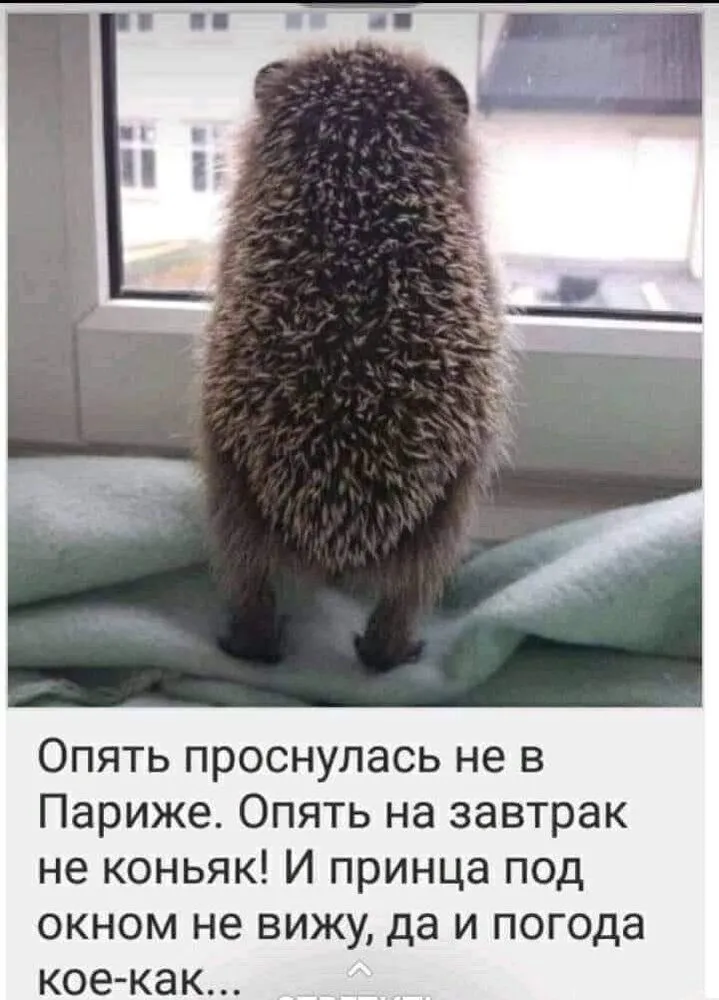 IMG-3f4dddab524e87c8f0deeb66593ea7e3-V.webp